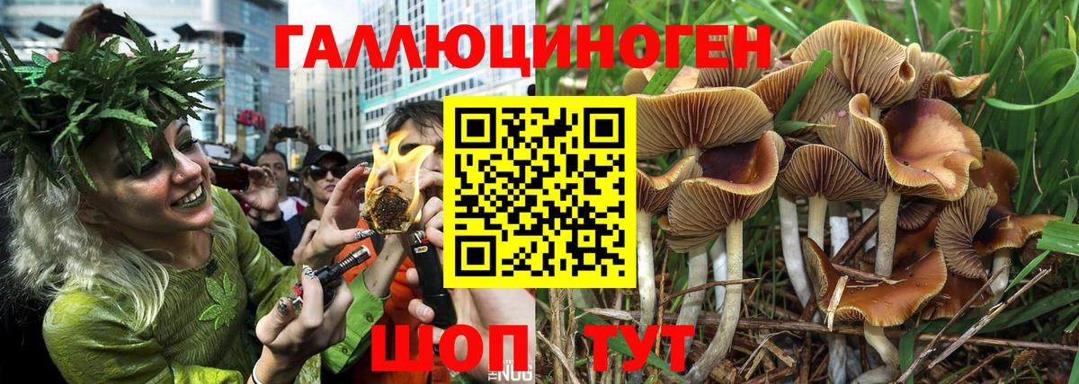 Галлюциногенные грибы ЛСД  Вход с VPN  Донецк 