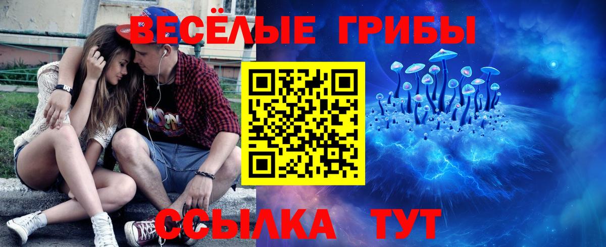 Галлюциногенные грибы мицелий Донецк
